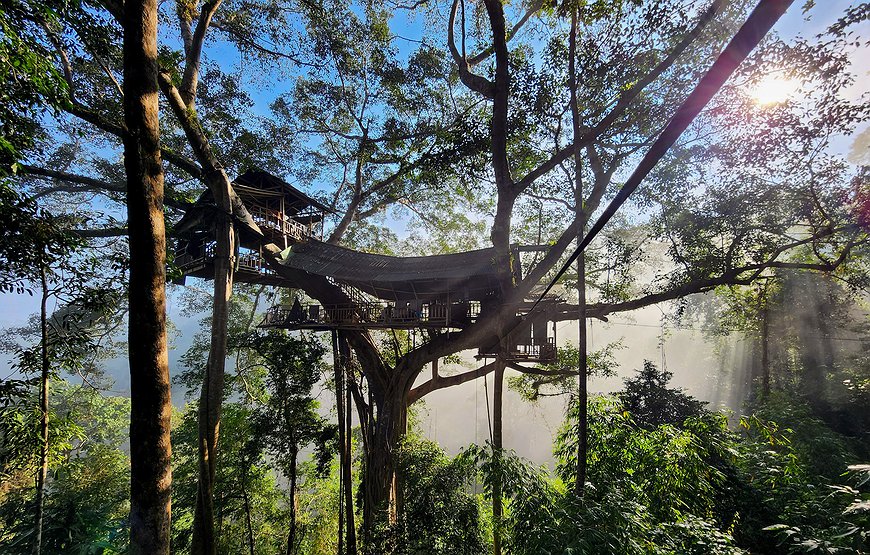 Gibbon Experience - Sleep in the World's Highest Treehouses in Northern Laos