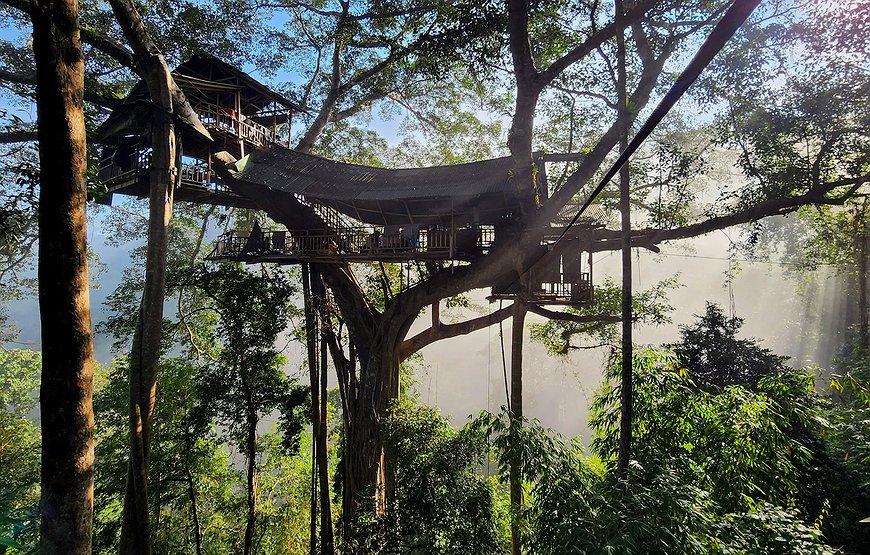 Gibbon Experience - Sleep in the World's Highest Treehouses in Northern Laos