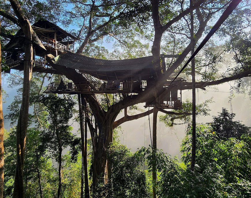 Gibbon Experience - Sleep in the World's Highest Treehouses in Northern Laos