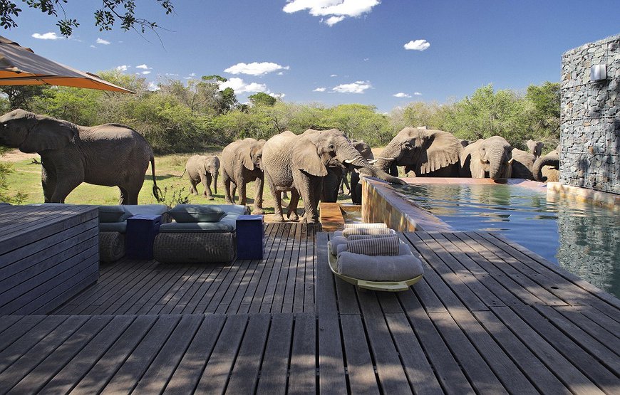 andBeyond Phinda Vlei Lodge - Private Villas In The South African Savanna