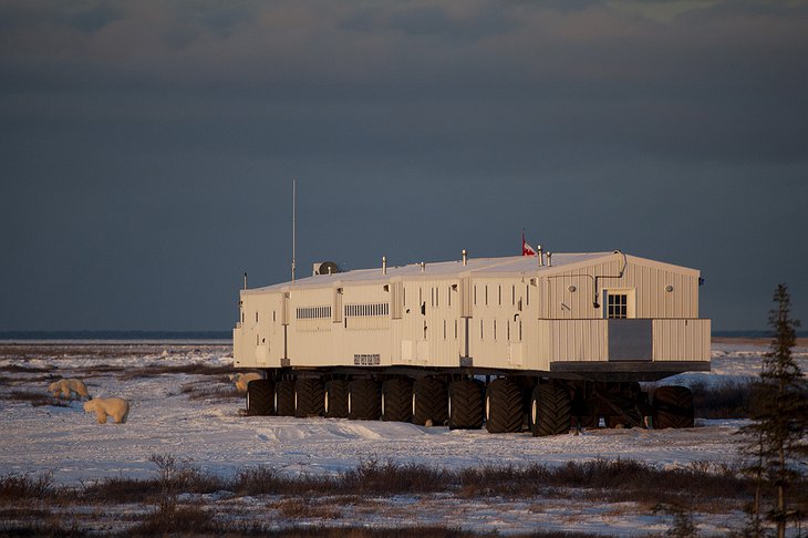 The Extra-Long Truck of Tundra Buggy Lodge