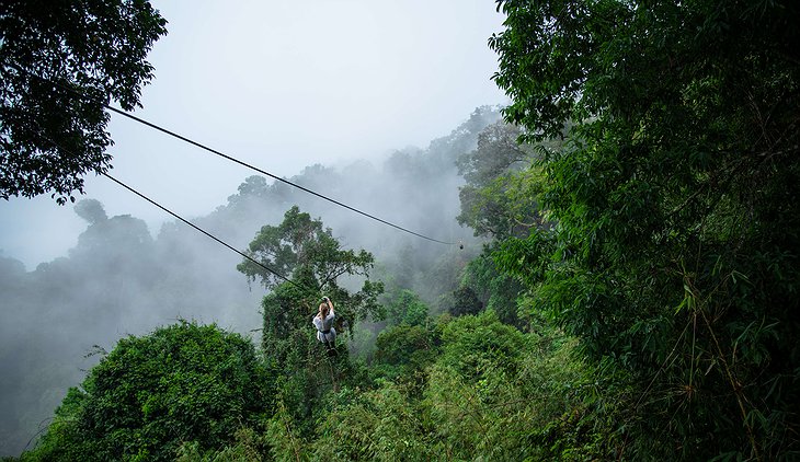 Jungle Ziplining