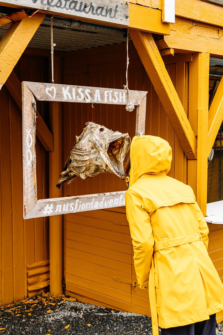 Nusfjord Arctic Resort - Take a Picture with a Fish Head