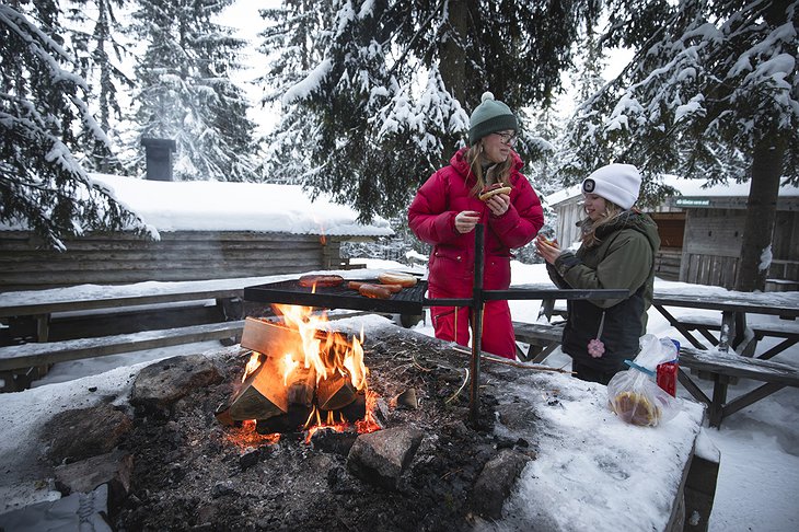 The Wolf Hotel Firepit for Cooking