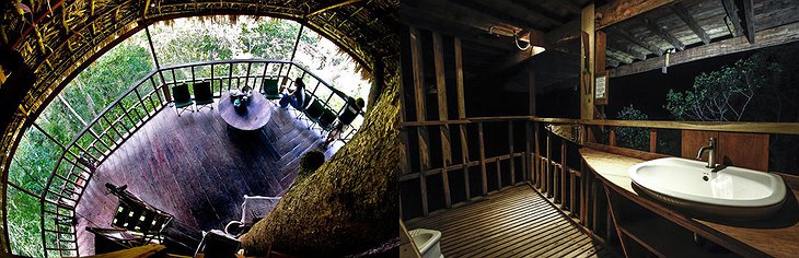 Gibbon Treehouse Interior