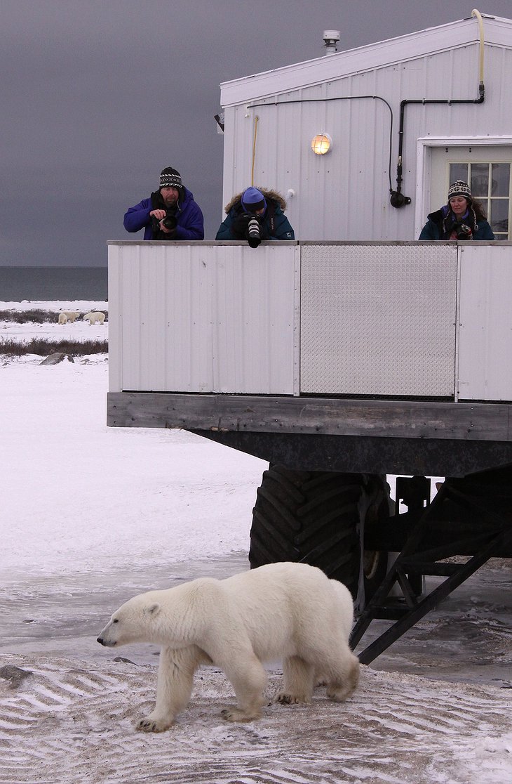 Tundra Buggy Lodge Open air observation deck