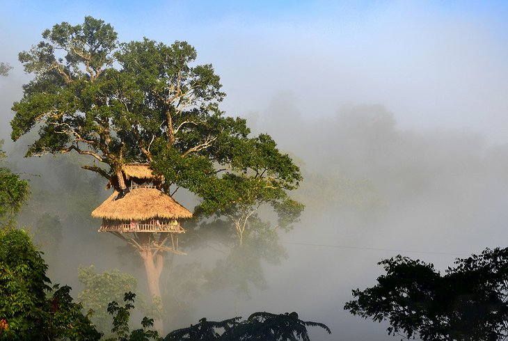 Treehouse in the jungles of Laos