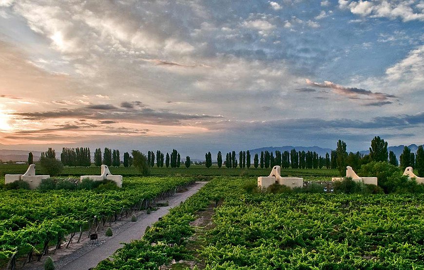 Cavas Wine Lodge - Adobe-Style Villas Set Among Argentina's Best Vineyards