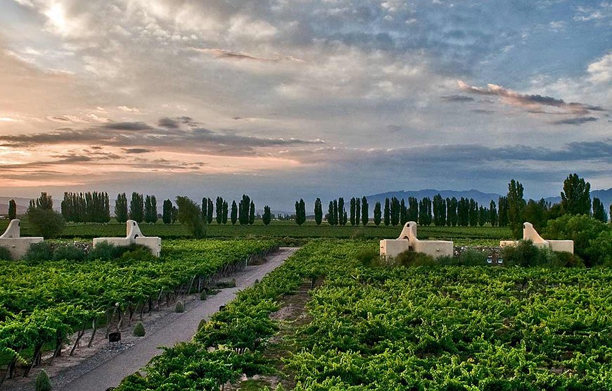 Cavas Wine Lodge - Adobe-Style Villas Set Among Argentina's Best Vineyards