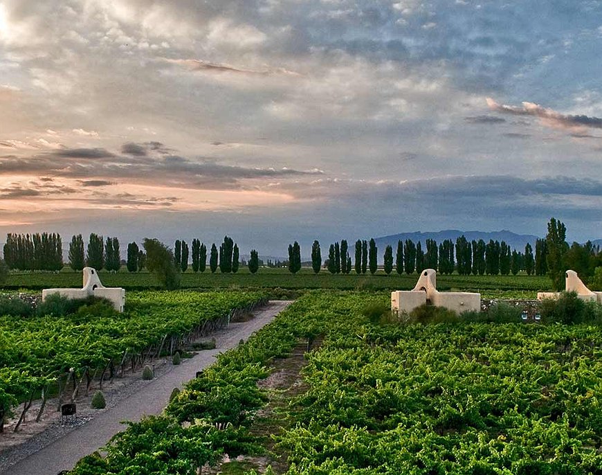 Cavas Wine Lodge - Adobe-Style Villas Set Among Argentina's Best Vineyards