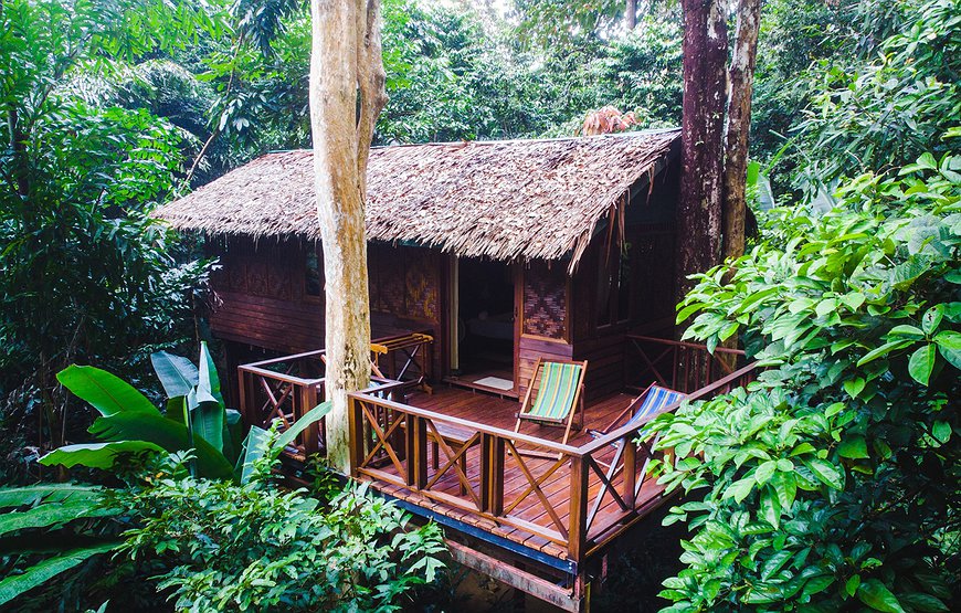 Our Jungle House - Rainforest Experience In Southern Thailand