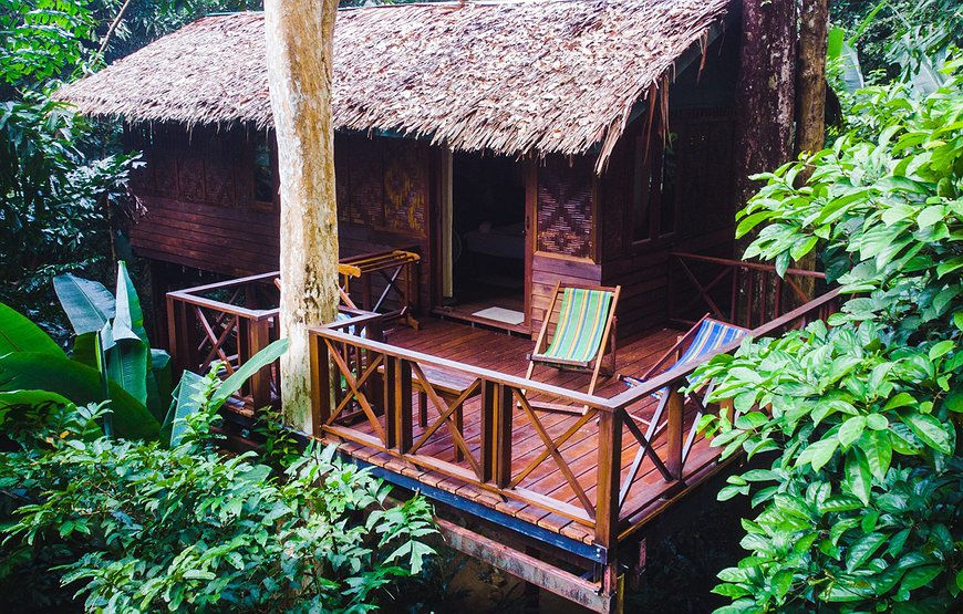 Our Jungle House - Rainforest Experience In Southern Thailand