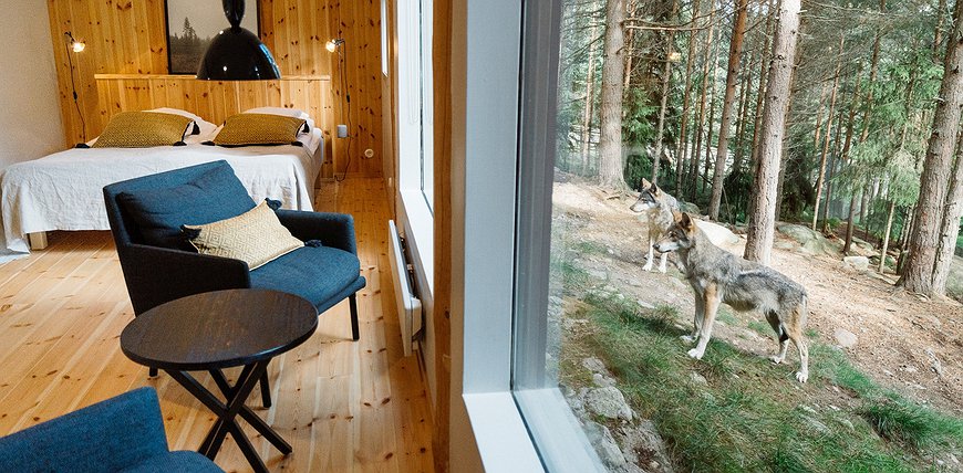 Vildriket Varghotell - The Wolf Hotel in Sweden's Wildlife Park