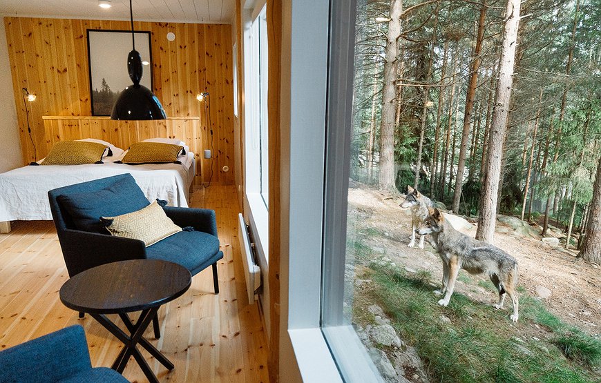 Vildriket Varghotell - The Wolf Hotel in Sweden's Wildlife Park