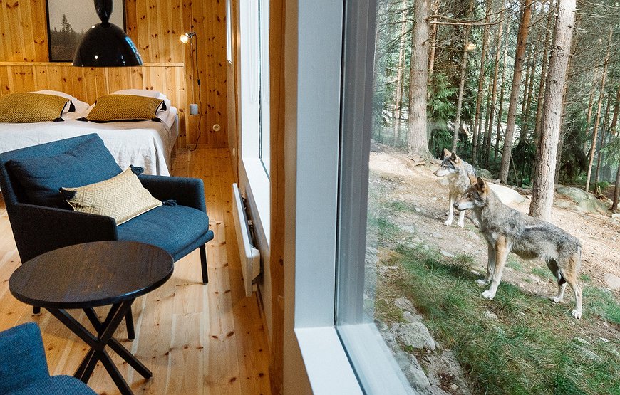 Vildriket Varghotell - The Wolf Hotel in Sweden's Wildlife Park