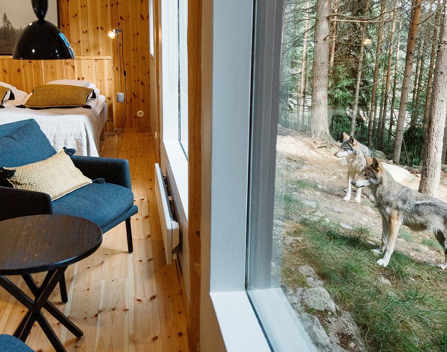 Vildriket Varghotell - The Wolf Hotel in Sweden's Wildlife Park