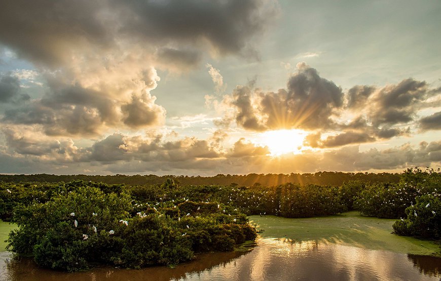 Little St. Simons Island Lodge - The Most Secluded Lodge In The US