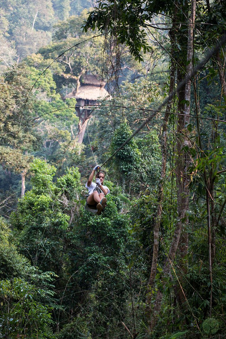 Gibbon Experience Ziplining