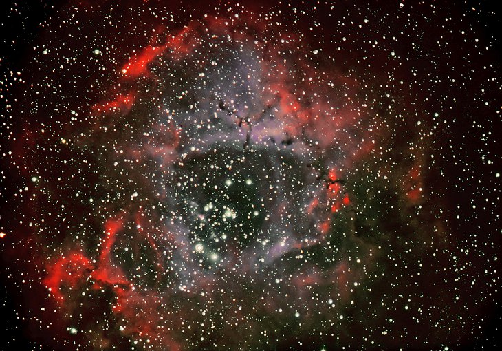 Stargazing - Rosette Nebula