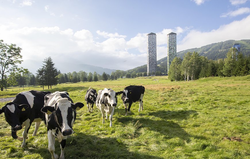 Tomamu The Tower|Hoshino Resorts - Japanese Farm Stay In Skyscrapers