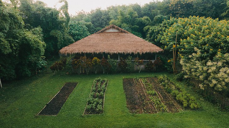 Lisu Lodge Vegetable Garden