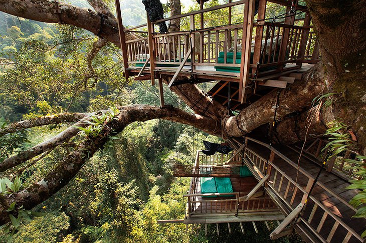 Gibbon Experience Treehouse Open Air Bedrooms