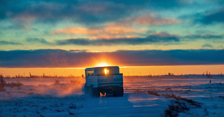 Polar Rover Sunrise