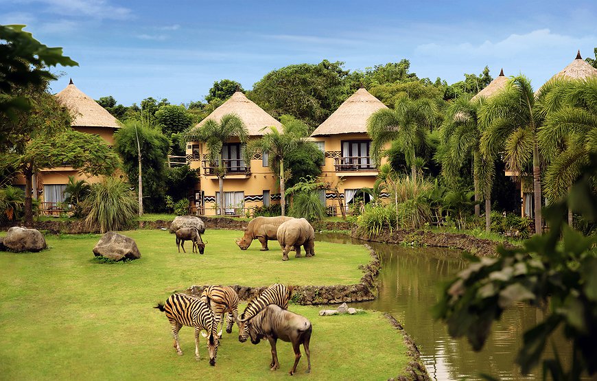 Mara River Safari Lodge Bali - Feed Wild Animals From Your Window