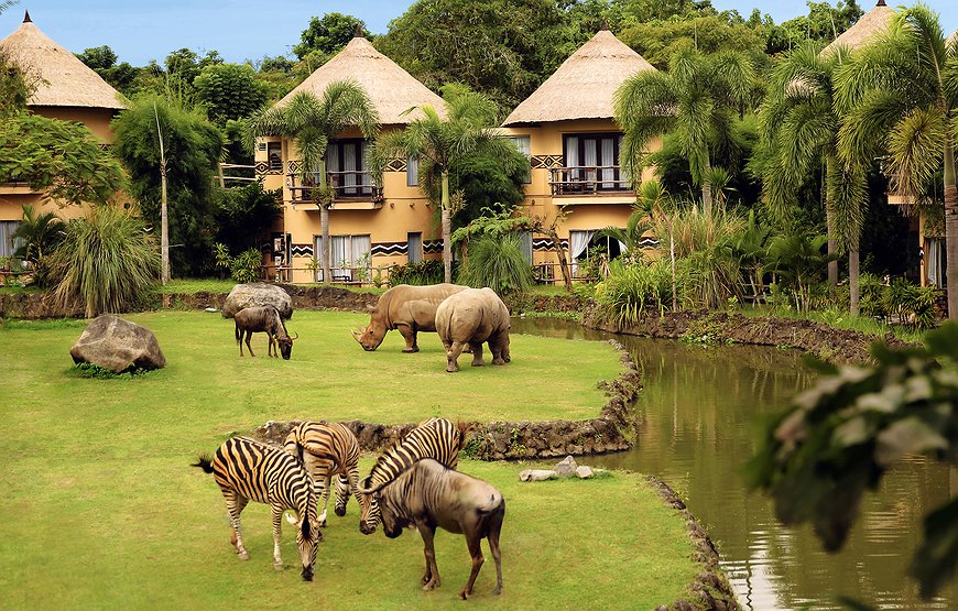 Mara River Safari Lodge Bali - Feed Wild Animals From Your Window