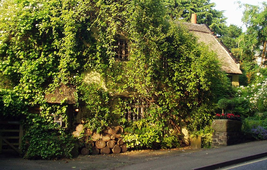 Wizards Thatch - Harry Potter's Charming Fairytale Cottage