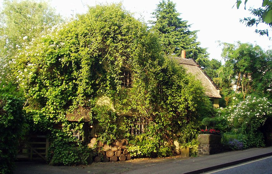 Wizards Thatch - Harry Potter's Charming Fairytale Cottage